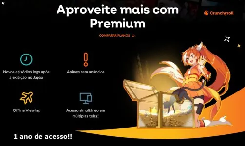 Anime 1 Ano de acesso Premium